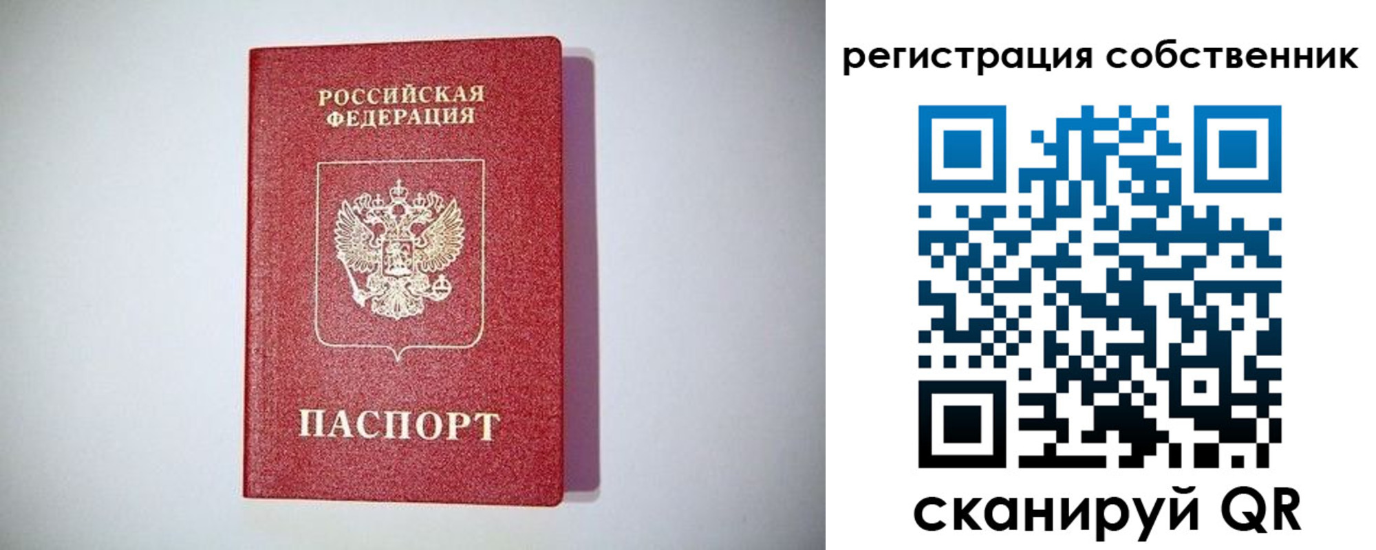 временная регистрация в Коле
