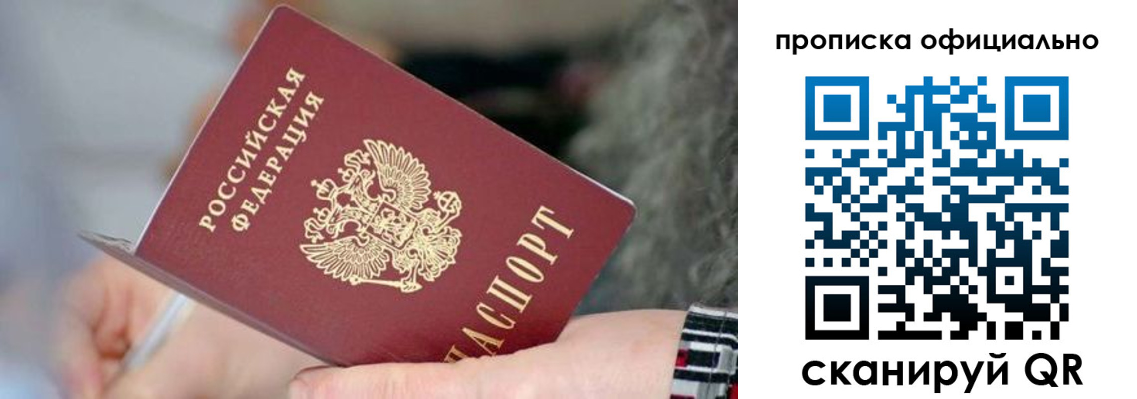 временная регистрация поиск в Коле